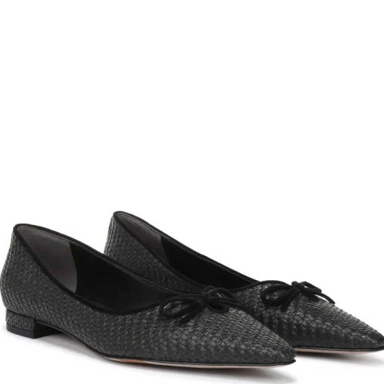 Esmira Pointed Toe Ballet Flat